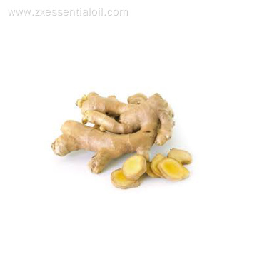 100% pure natural ginger essential oil